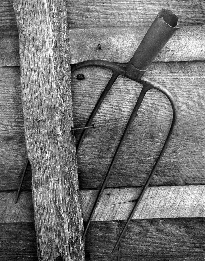 Old Pitch Fork | Shutterbug